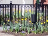 fence_1851